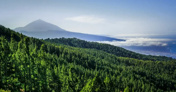 Tenerife vær